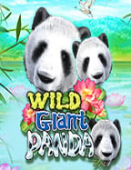 รีวิว sbobet บอลน อย เกมสล็อตน่าเล่นจาก Joker Gaming